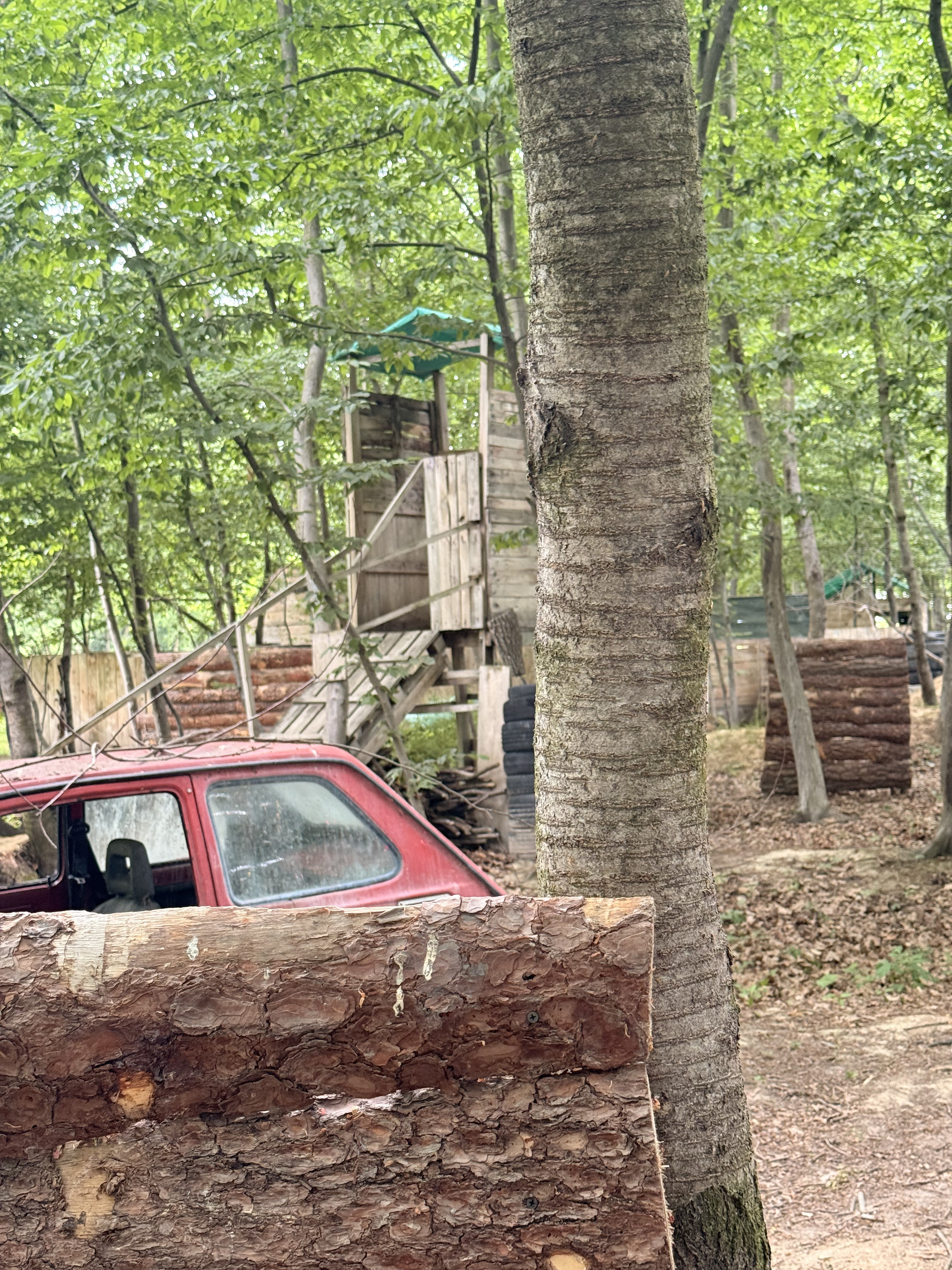 Grupa graczy na polu